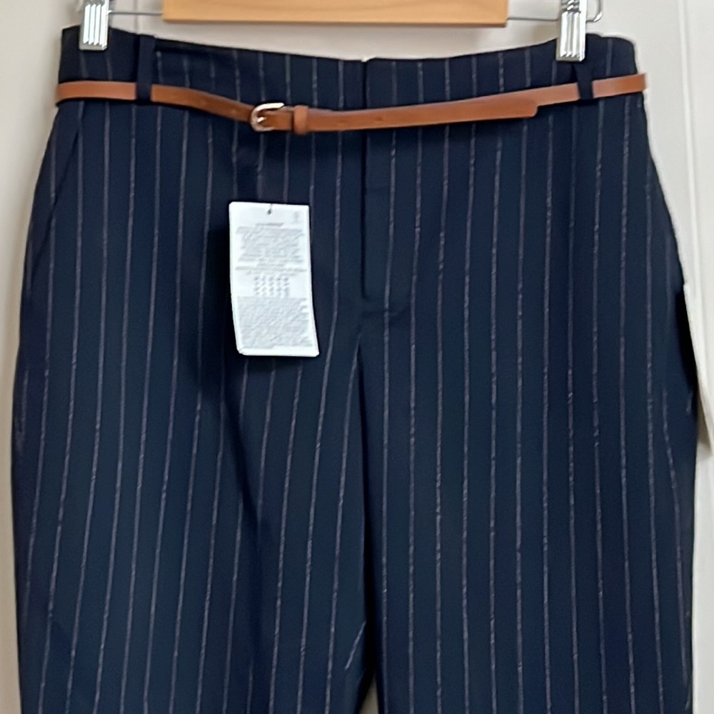 Zara pinstriped belted pants